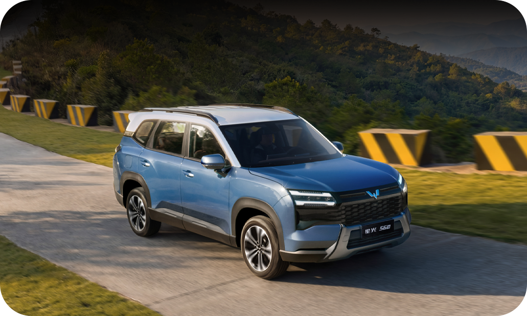 Oferta Wuling Eksion