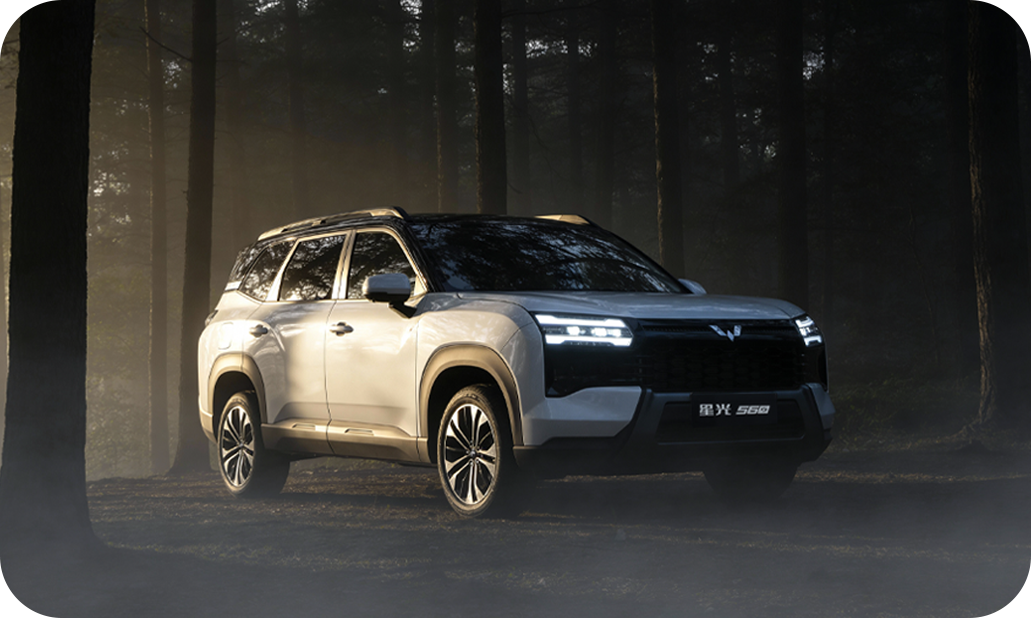 Identitate X Wuling Eksion