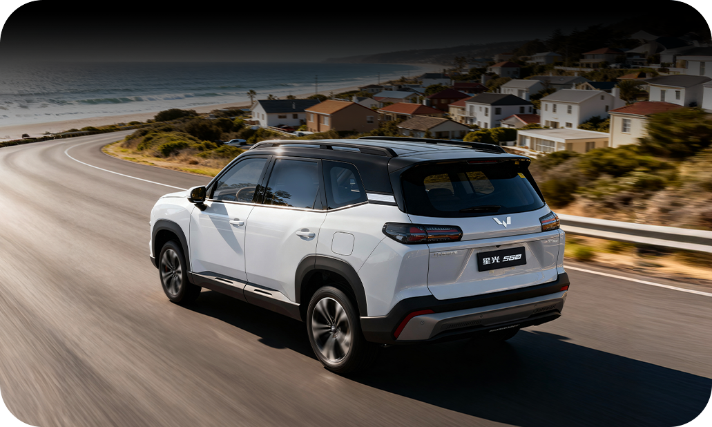 Culoare Wuling Eksion