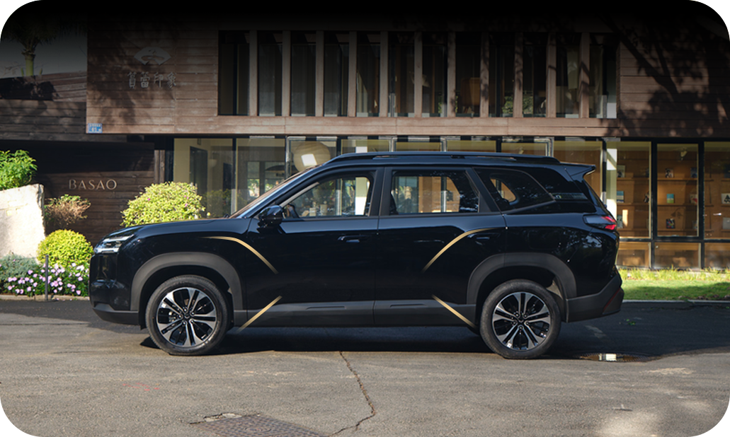 Culoare Wuling Eksion