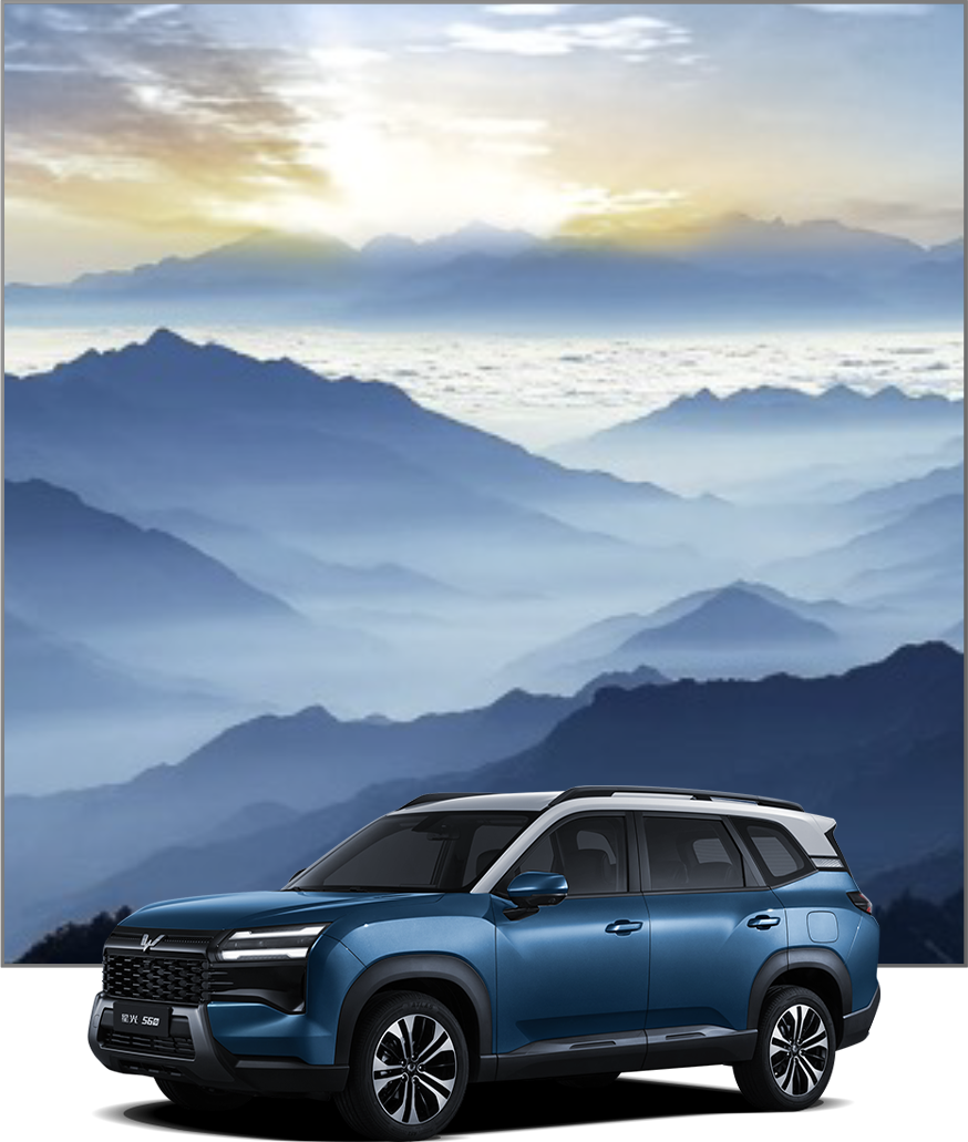 Culoare Wuling Eksion