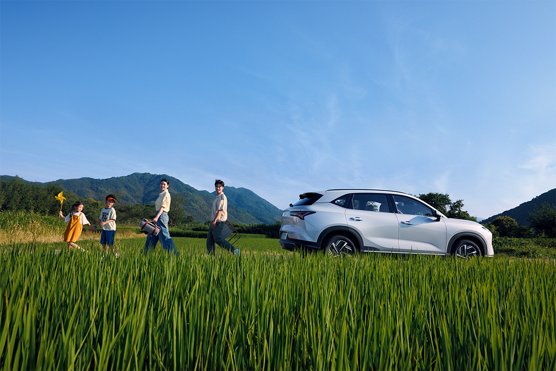 Wuling Starlight S — alegerea familiilor